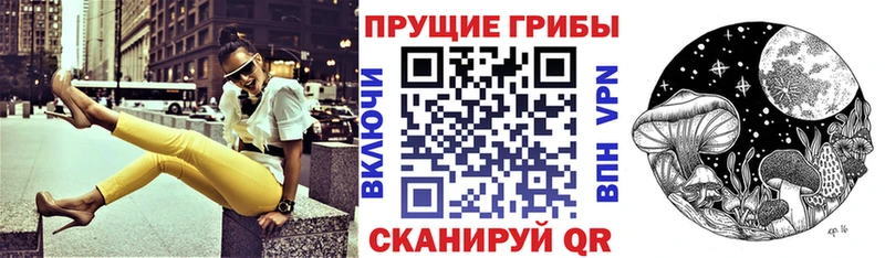 купить закладку  Суздаль  Галлюциногенные грибы ЛСД 